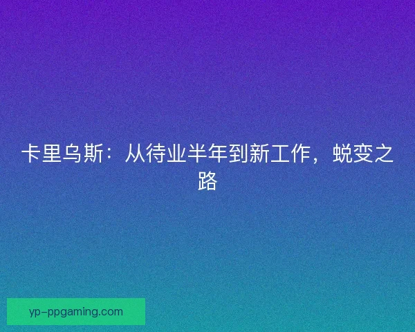 卡里乌斯：从待业半年到新工作，蜕变之路